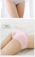 Seamless Brief Panties